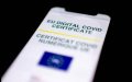 France Expands Health Pass Access for Expatriates Vaccinated Abroad
