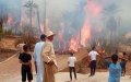 Massive Fire Destroys 2,500 Trees in Zagora Oasis, Cause Unknown