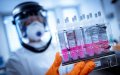 Morocco Monitors New 'Mu' COVID Variant, Experts Say Risk Remains Low