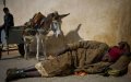 Morocco to Expand COVID-19 Vaccination Campaign to Homeless and Undocumented Residents
