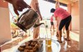 Far-Right Vox Party Pushes to Remove Muslim Holiday from Ceuta's Work Calendar