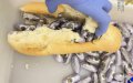 Moroccan Man Arrested in Melilla Smuggling Hashish Hidden in Baguettes