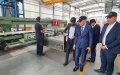 Morocco's Economic Resilience Shines Despite Global Health Crisis