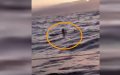 Moroccan Migrant Rescued at Sea by Sailboat Captain Near Ceuta