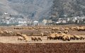 Magnitude 2.5 Earthquake Strikes Off Coast of Al Hoceima, Morocco