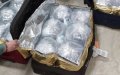 Moroccan Fined $7.8 Million for Smuggling Endangered Eels in Spain
