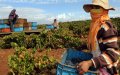 Azores High Pressure System Drives Drought in Morocco and Southern Europe