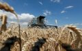 Ukraine Halts Wheat Exports to Morocco Amid Russian Naval Blockade