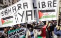 Seville Protesters Challenge Spain's Shift on Western Sahara Autonomy Plan