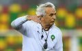 Morocco World Cup Coach Halilhodzic Hints at Possible Resignation