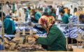 Morocco's Economy Slows Amid Drought and Global Uncertainties