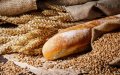 Russia Assures Timely Grain Deliveries to Morocco Amid Global Supply Concerns