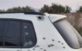 Fatal Shooting in Nador: 30-Year-Old Man Killed in Suspected Gang-Related Attack