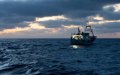Spanish Fishing Fleet Retreats from Moroccan Waters as Profits Plummet