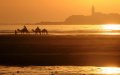 Heat Wave Alert: Morocco Braces for Temperatures Nearing 50°C in Multiple Provinces