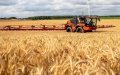 Morocco Diversifies Cereal Imports from South America Amid Global Market Tensions