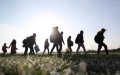 EU Auditors Call for Overhaul of Ineffective Migrant Return Policy