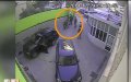 Belgian Cannabis Trafficking Family Linked to Violent Kidnapping in Morocco