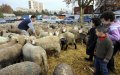 Belgian Muslims Urged to Cancel Mosque Prayers for Eid Al-Adha Amid COVID-19 Surge