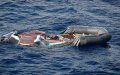 Body of Suspected Migrant Washes Ashore on Moroccan Beach Near Tiznit