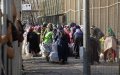 Border Closure Leaves 9,000 Moroccan Workers Jobless in Spanish Enclaves