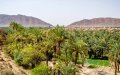 Border Dispute Escalates as Algeria Evicts Moroccan Farmers from Contested Oasis