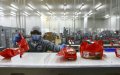Brazil Leads Global Halal Food Exports, Tapping into Growing Muslim Market