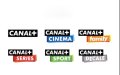 Canal+ Fraud Ring Busted: French Police Arrest Suspect Linked to Moroccan Hacking Network