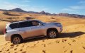 Car Rental Prices Surge as Industry Rebounds from Pandemic Slump