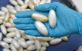 Casablanca Airport: An Algerian wanted for drug trafficking arrested with capsules in his stomach