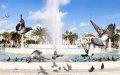 Casablanca Bans Pigeon Feeding in Iconic Square, Sparking Controversy