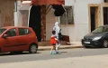 In Casablanca, elected officials no longer want to wait for complaints before tackling rats and cockroaches