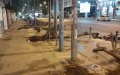 Casablanca: the felling of trees shocks