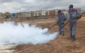 Casablanca Launches Mosquito Control Campaign Amid Heat Wave
