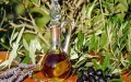 Casablanca Police Seize Suspicious Olive Oil Sold for 1 Dirham, Launch Investigation