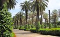 Casablanca Revitalizes Public Spaces with Multimillion-Dirham Park Renovations
