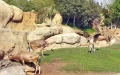 Casablanca Zoo Opening Delayed: Budget Shortfall Halts Launch Plans