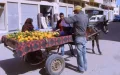 Casablanca's Busway Disrupted by Animal-Drawn Carts, Authorities Seek Solution