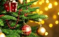 Casablanca's Expansive Christmas Market Draws Major Brands and Festive Attractions