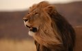 Casablanca's $25 Million Zoo Project Faces Further Delays, Now Set for December Opening