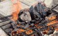 Charcoal Prices Surge in Morocco Ahead of Eid al-Adha Celebration