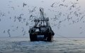 China Expands Fishing Fleet in Moroccan Waters with Three New Vessels