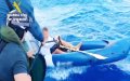 Civil Guard Rescues Moroccan Migrant Crossing Strait of Gibraltar in Inflatable Boat