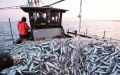 EU Court Annuls Morocco-EU Fisheries Deal Over Western Sahara Dispute