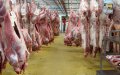 EU Court Weighs Religious Freedom vs. Animal Welfare in Belgian Slaughter Ban