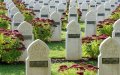 COVID-19 Complicates Repatriation of Moroccan Bodies from Belgium