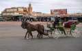 COVID-19 Impacts Summer Travel Plans for 71% of Moroccan Households, Survey Finds
