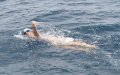 Croatian Swimmer Dana Levacic First Woman to Cross Gibraltar Strait in 2024