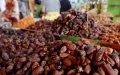 Date Prices in Casablanca: From 25 to 220 Dirhams During Ramadan