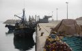 Deadly Fishing Boat Tragedy: 4 Dead, 7 Missing Off Moroccan Coast